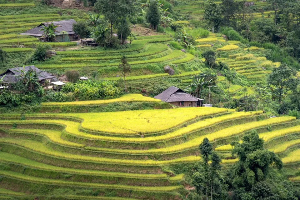 Kho gạo của Thuỷ Hải Sản Quảng Nam